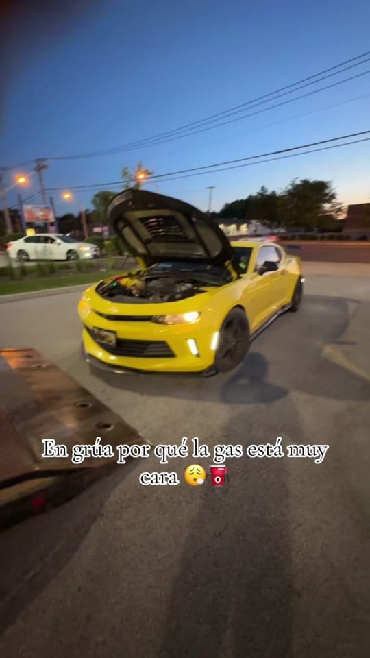 Post 3 by Bumblebee 3 🐝 on TikTok (video)