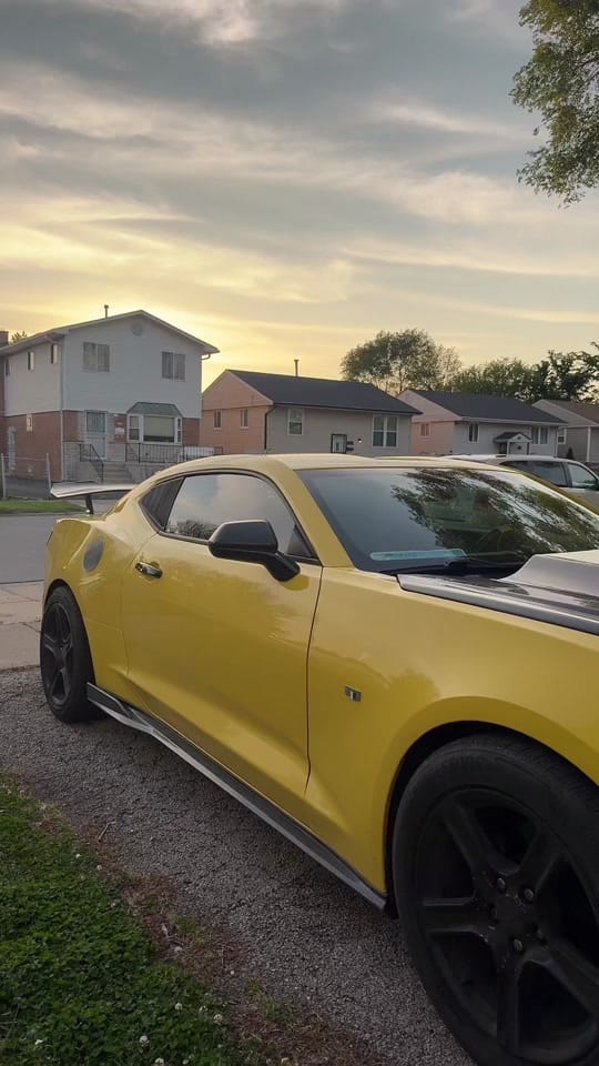 Post 6 by Bumblebee 3 🐝 on TikTok (video)