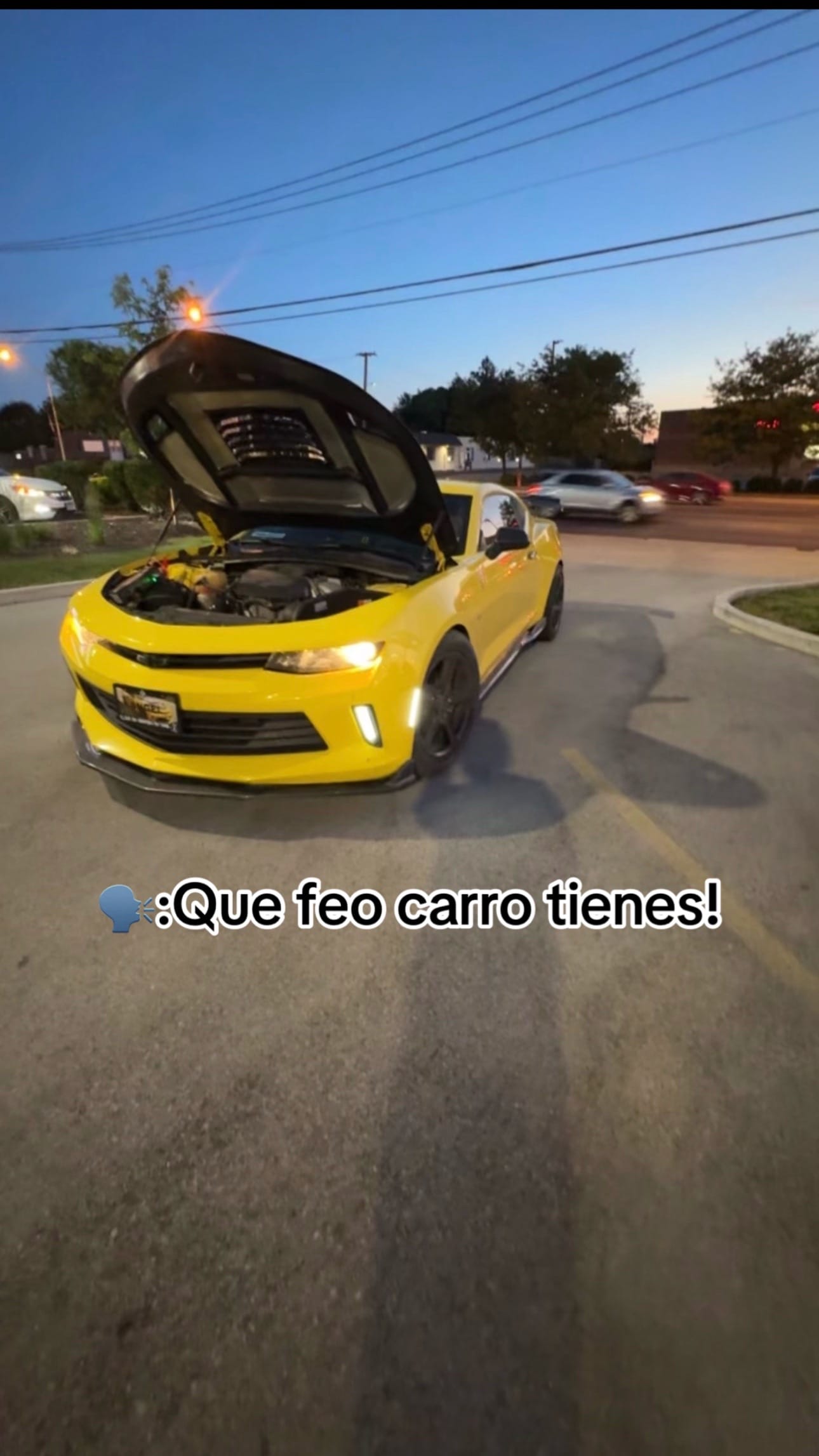 Post 1 by Bumblebee 3 🐝 on TikTok (video)