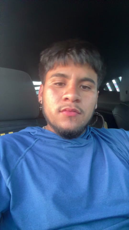 Post 2 by Bumblebee 3 🐝 on TikTok (video)