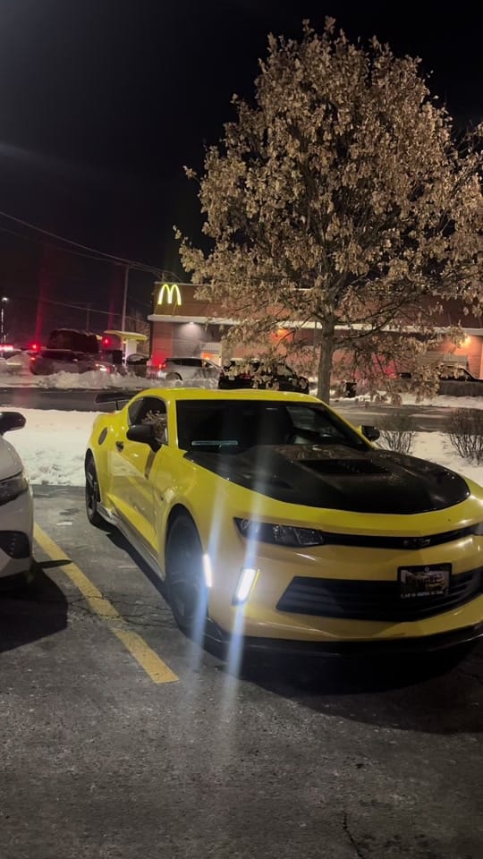 Post 8 by Bumblebee 3 🐝 on TikTok (video)