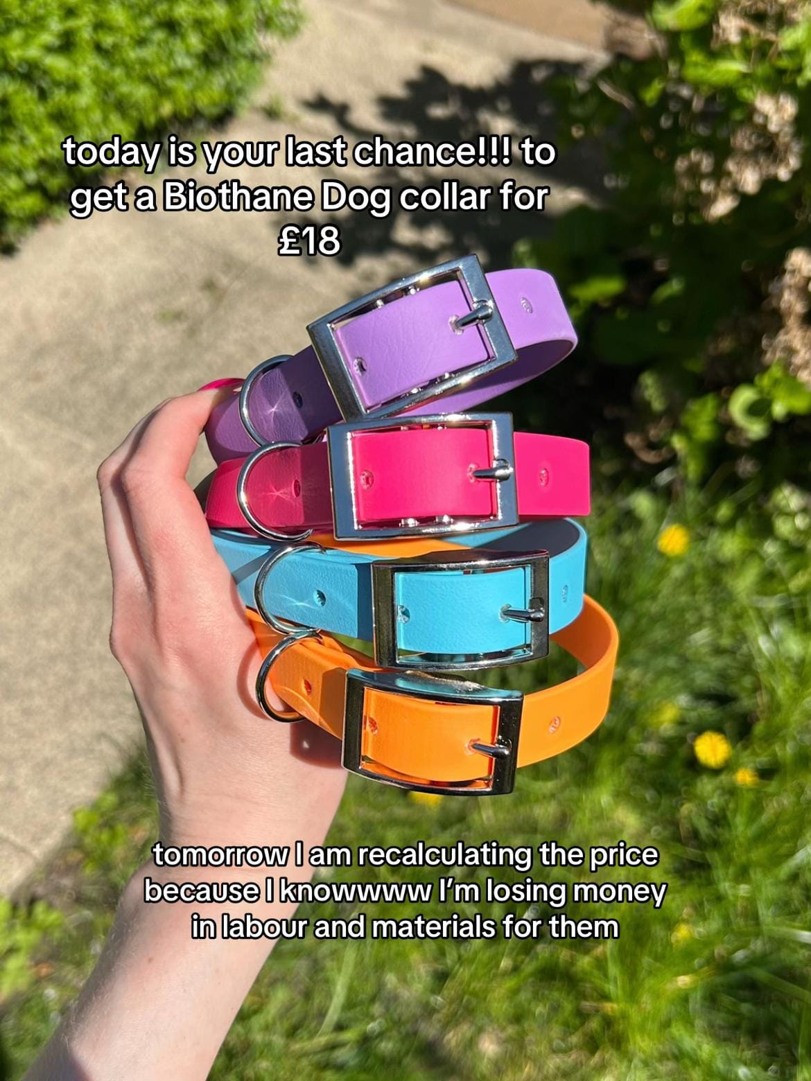 Post 4 by Dogs of Jupiter Dog Training on TikTok (video)