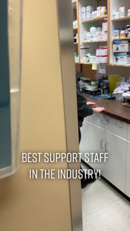 Post 9 by Cypress View Vet on TikTok (video)