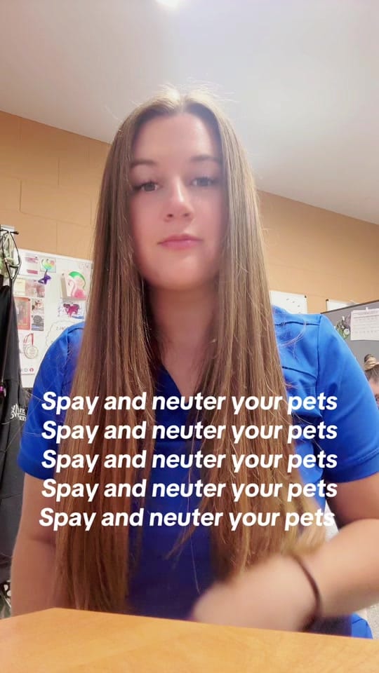 Post 2 by Cypress View Vet on TikTok (video)