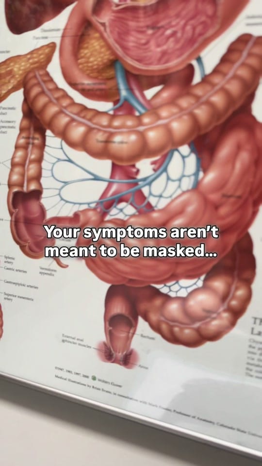 Post 10 by Inner.Garden.Health on TikTok (video)