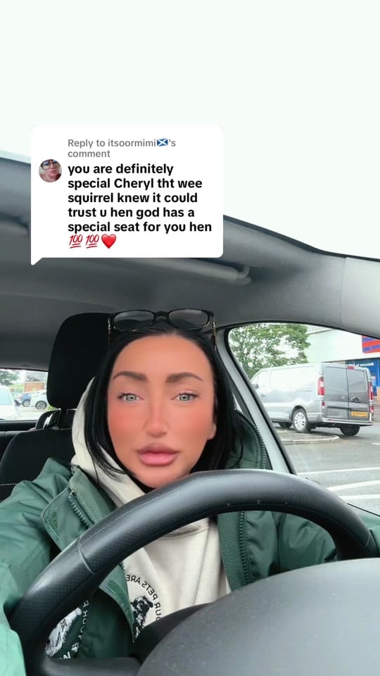 Post 3 by WNR Pet Services on TikTok (video)