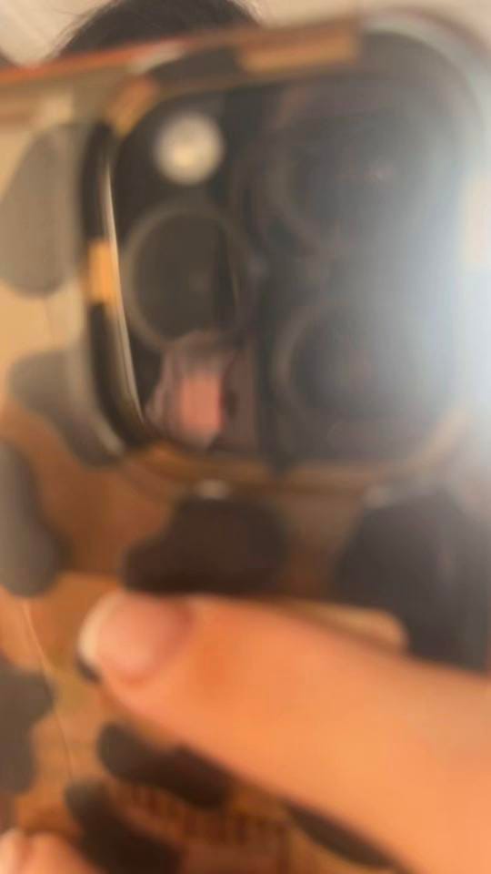 Post 9 by WNR Pet Services on TikTok (video)