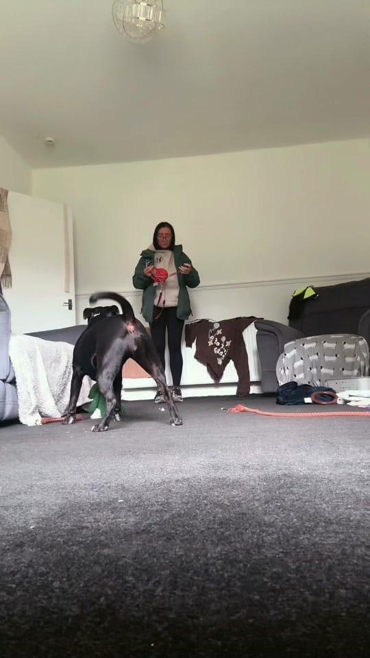 Post 6 by WNR Pet Services on TikTok (video)
