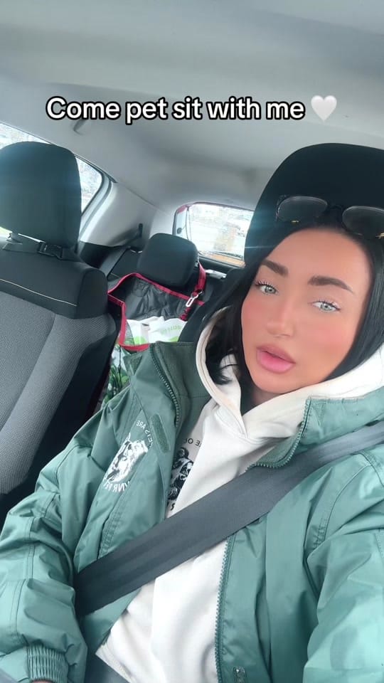 Post 7 by WNR Pet Services on TikTok (video)