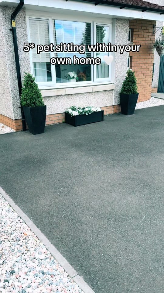 Post 10 by WNR Pet Services on TikTok (video)