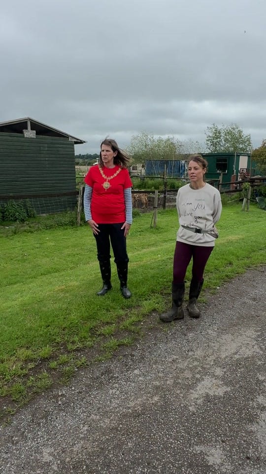 Post 4 by Caenhillcc rescue animals on TikTok (video)