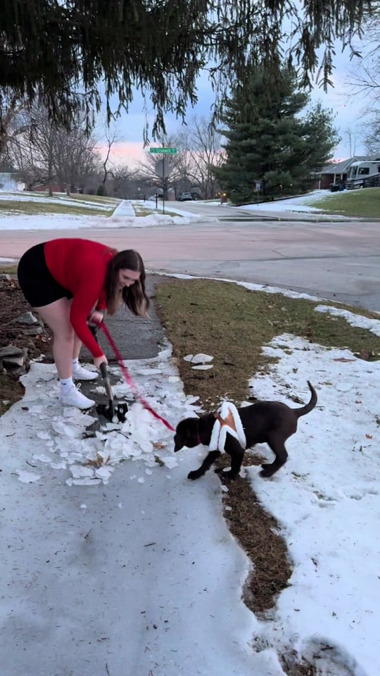 Post 10 by Emma on TikTok (video)