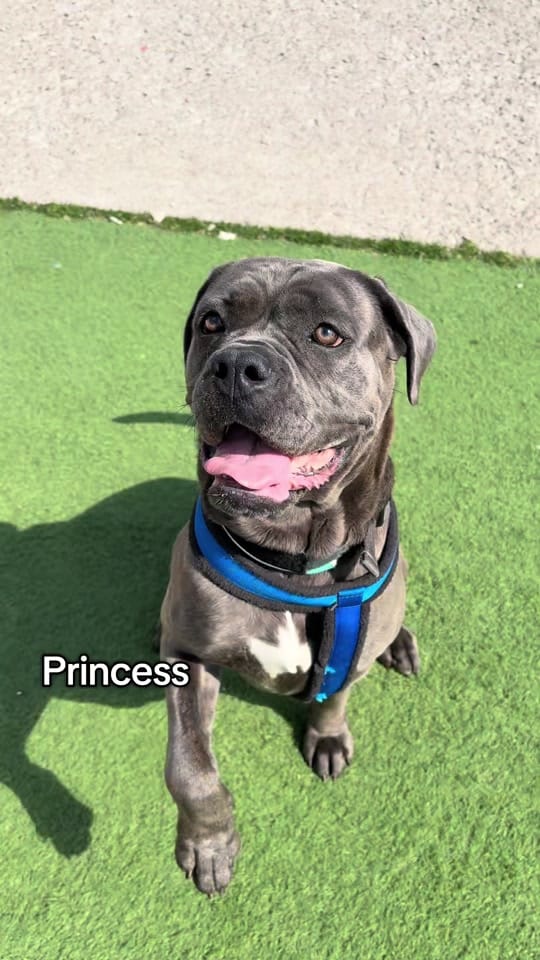 Post 1 by Thornberry Animal Sanctuary on TikTok (video)