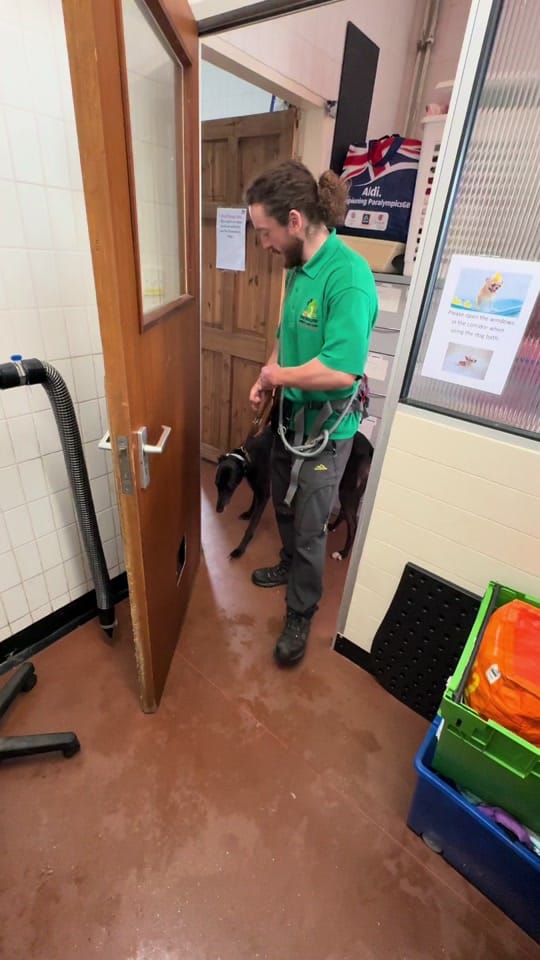 Post 8 by Thornberry Animal Sanctuary on TikTok (video)