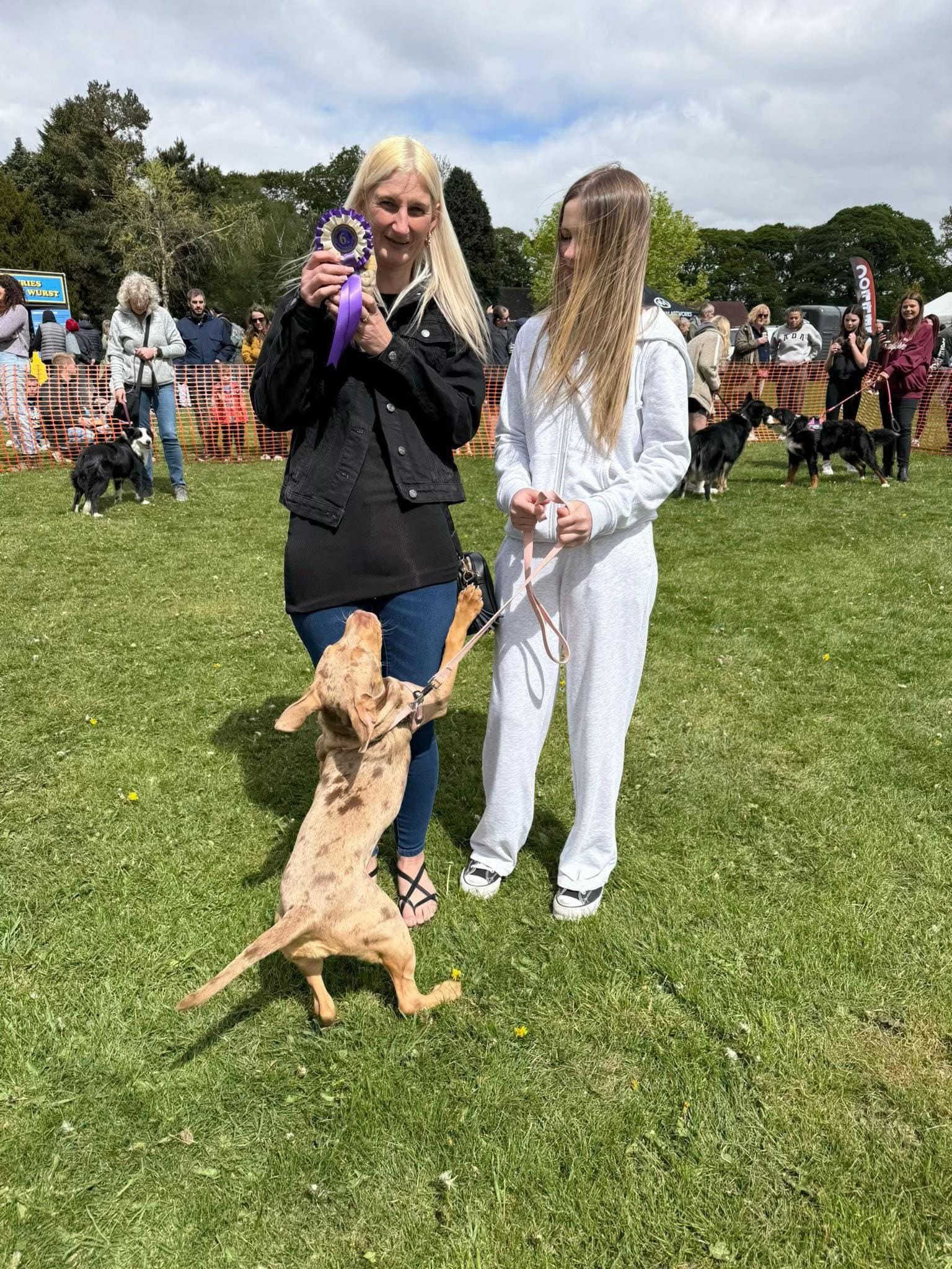 Post 7 by Thornberry Animal Sanctuary on TikTok (video)