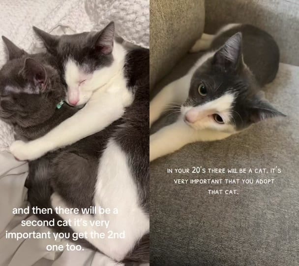Post 2 by abby🎀👩🏻‍⚕️ on TikTok (video)