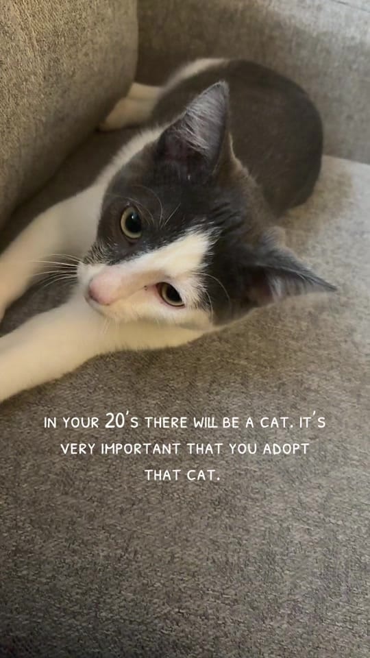 Post 3 by abby🎀👩🏻‍⚕️ on TikTok (video)