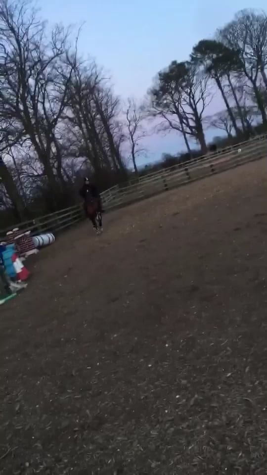 Post 3 by Sam on TikTok (video)