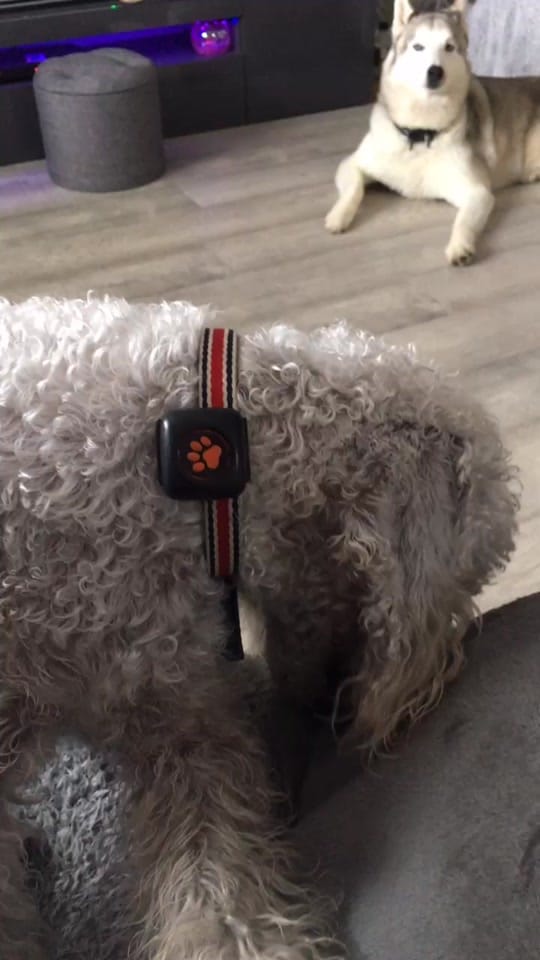 Post 2 by Sam on TikTok (video)