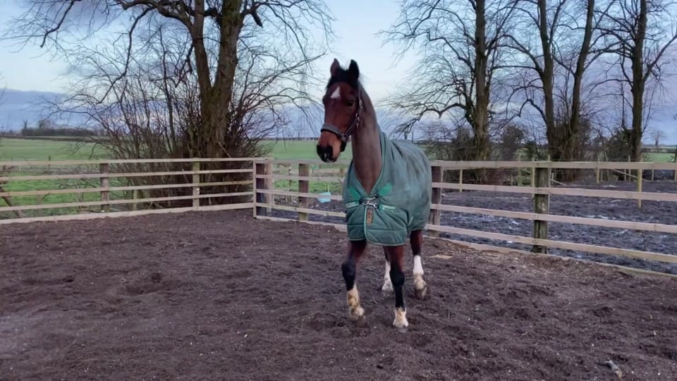 Post 8 by Sam on TikTok (video)