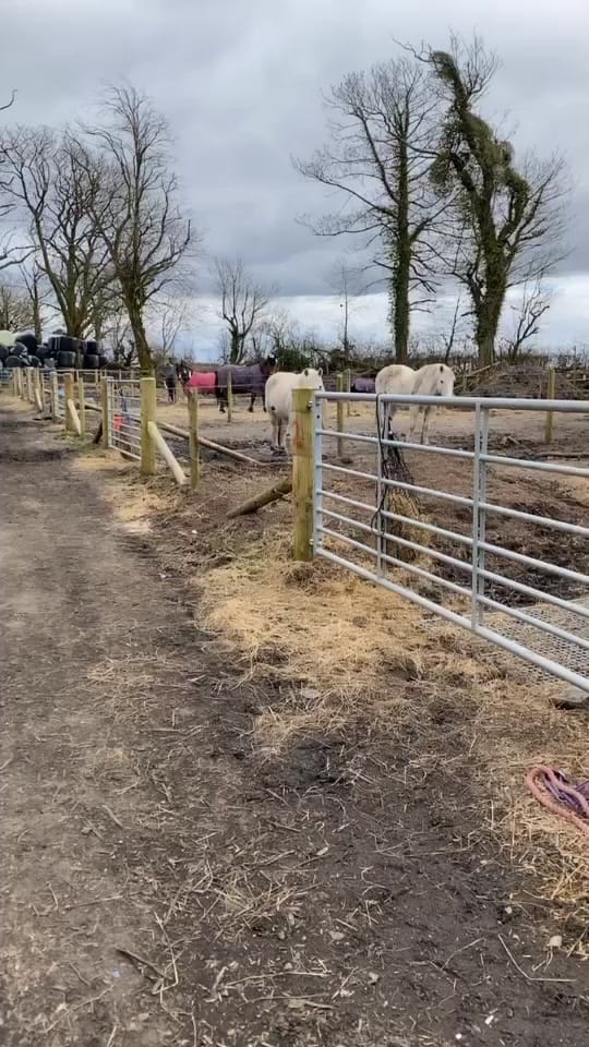 Post 5 by Sam on TikTok (video)