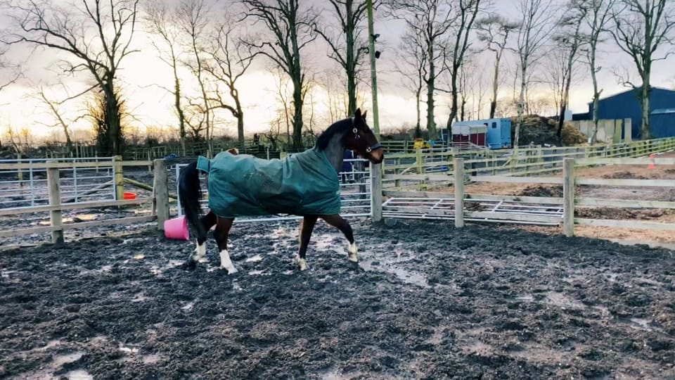 Post 7 by Sam on TikTok (video)