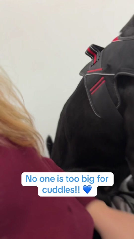 Post 10 by National Animal Welfare Trust on TikTok (video)