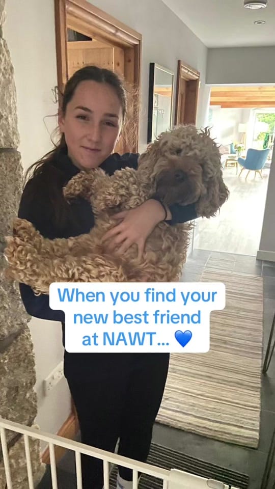 Post 4 by National Animal Welfare Trust on TikTok (video)