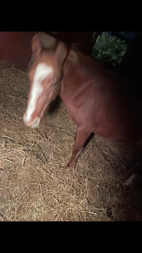 Post 5 by Shell on TikTok (video)
