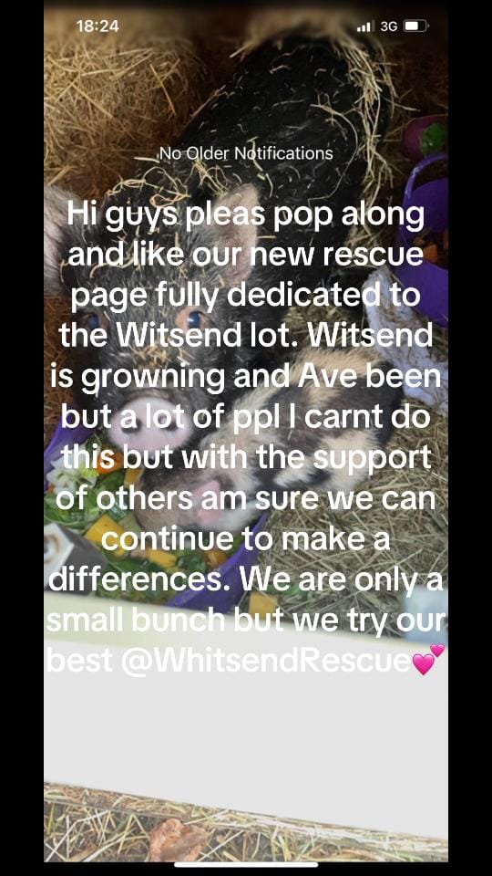 Post 6 by Shell on TikTok (video)