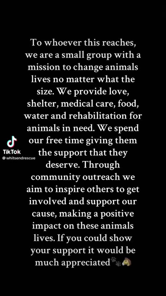Post 7 by Shell on TikTok (video)