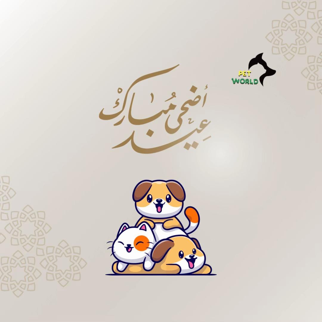 Post 3 by petworld.kw on TikTok (video)