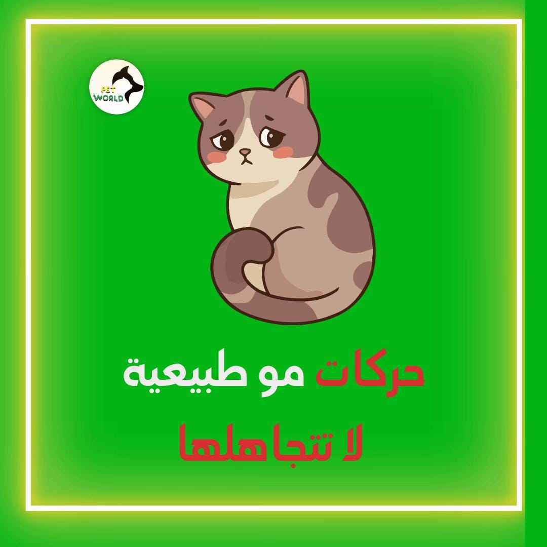 Post 7 by petworld.kw on TikTok (video)