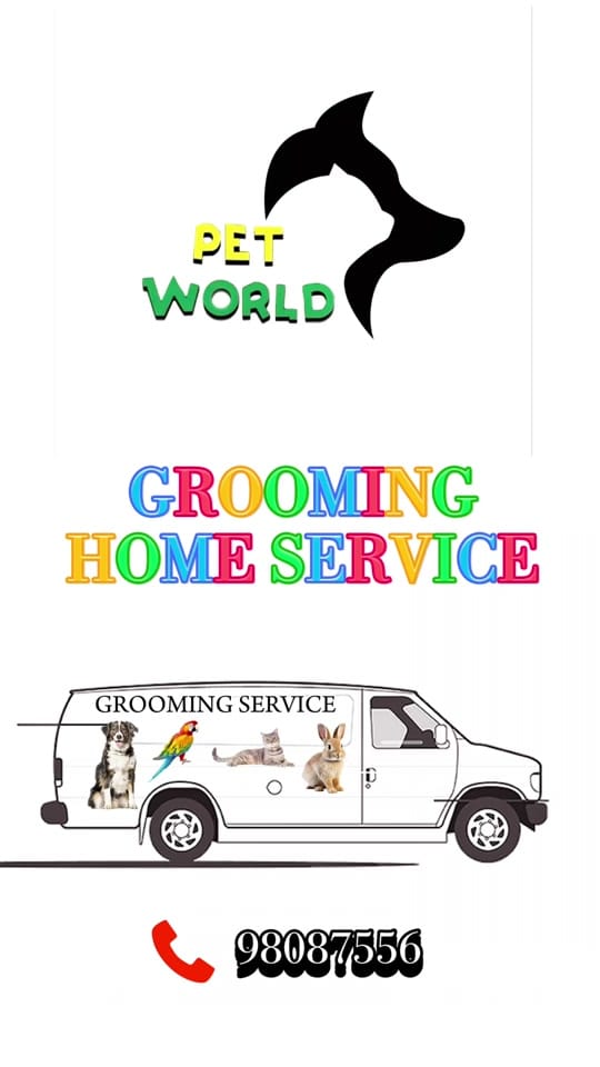 Post 10 by petworld.kw on TikTok (video)