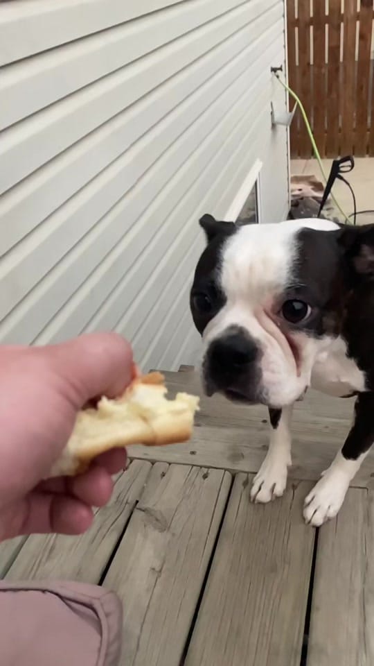 Post 2 by ⭐️🄵🄾🄻🄻🄾🅆4⃣🄵🄾🄻🄻🄾🅆⭐️ on TikTok (video)