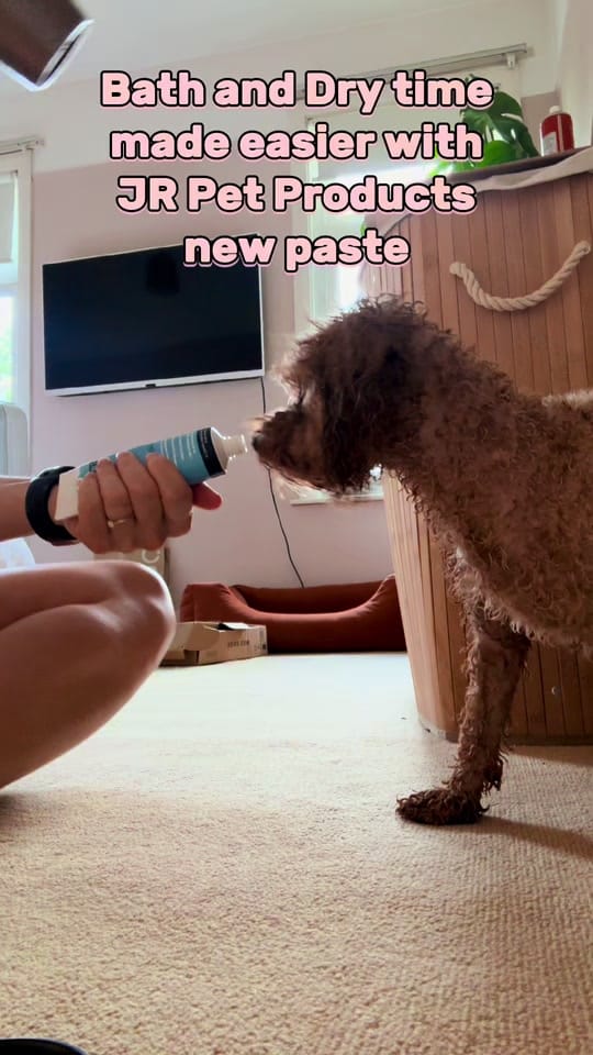 Post 5 by MilneandMutt on TikTok (video)