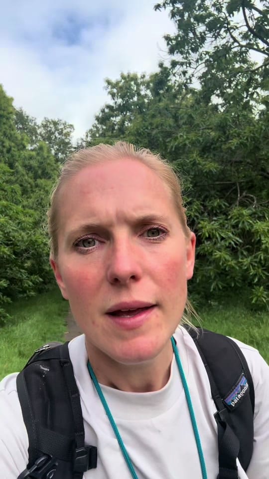 Post 2 by MilneandMutt on TikTok (video)