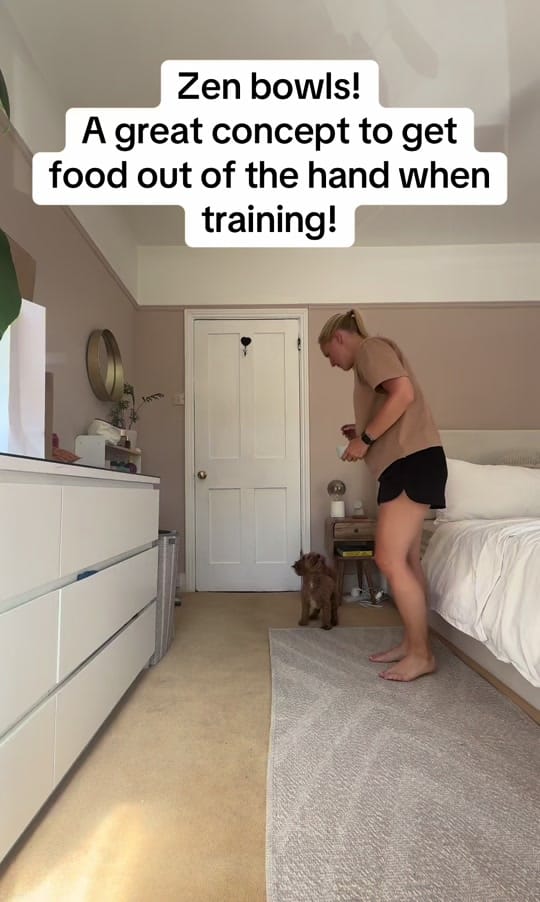 Post 10 by MilneandMutt on TikTok (video)