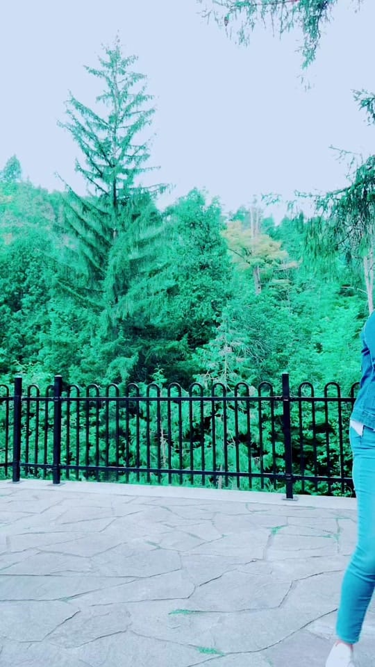 Post 4 by Drshalini on TikTok (video)