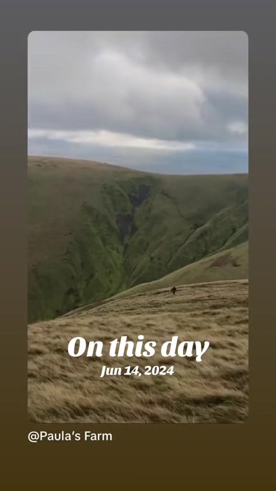 Post 4 by Paula’s Farm on TikTok (video)