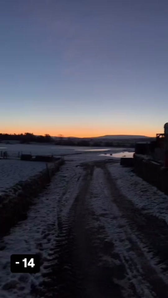 Post 8 by Paula’s Farm on TikTok (video)