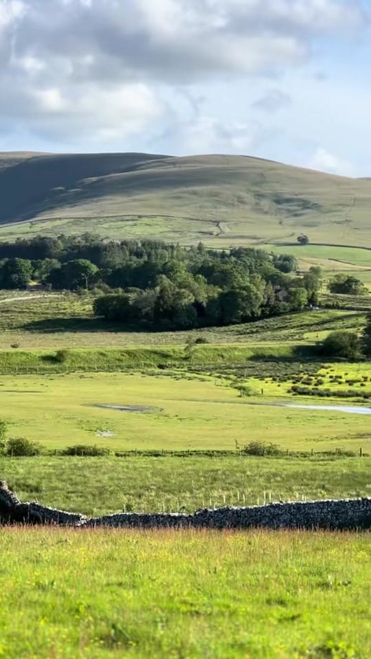 Post 2 by Paula’s Farm on TikTok (video)