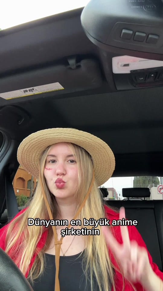 Post 10 by Leyla Deniz on TikTok (video)
