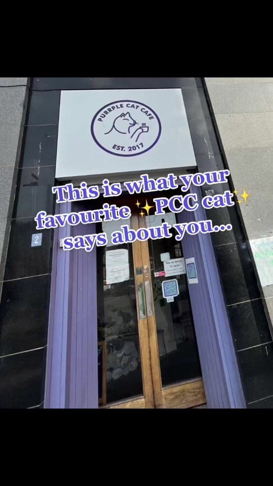 Post 8 by Purrple Cat Cafe 💜 on TikTok (video)