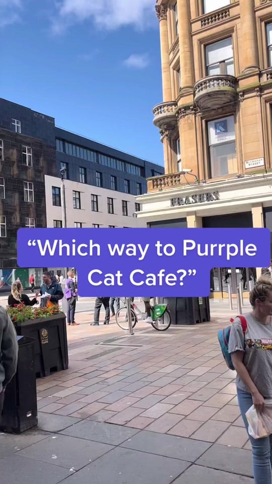 Post 9 by Purrple Cat Cafe 💜 on TikTok (video)