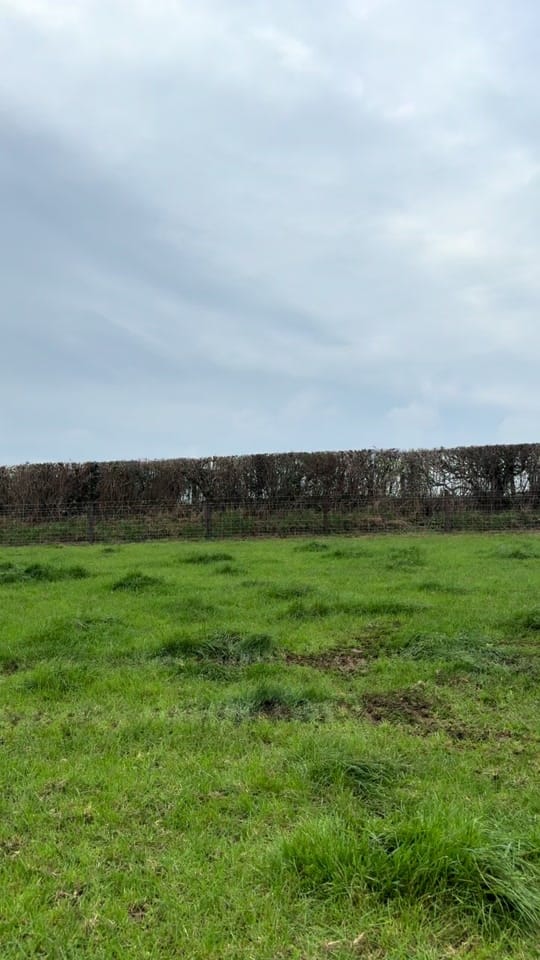 Post 5 by stu_the_agri_fencer ⚒️ on TikTok (video)