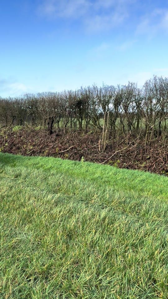 Post 3 by stu_the_agri_fencer ⚒️ on TikTok (video)