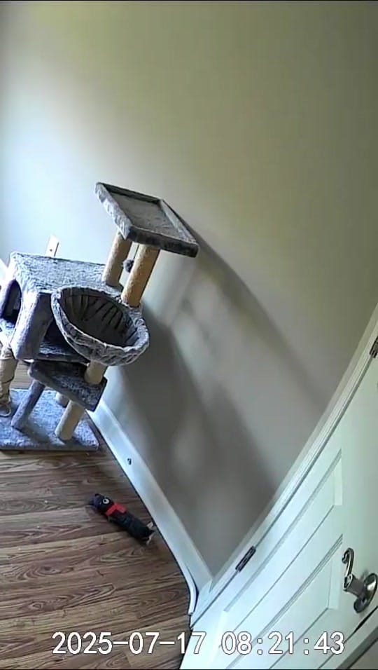 Post 2 by Kentucky Animal Tales on TikTok (video)