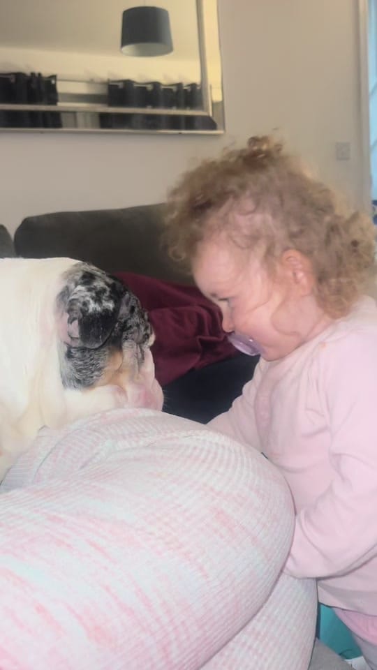 Post 6 by Jaffacakethebully on TikTok (video)