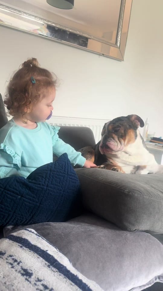 Post 5 by Jaffacakethebully on TikTok (video)